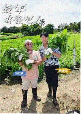 韩国短剧与长片节奏差异分析